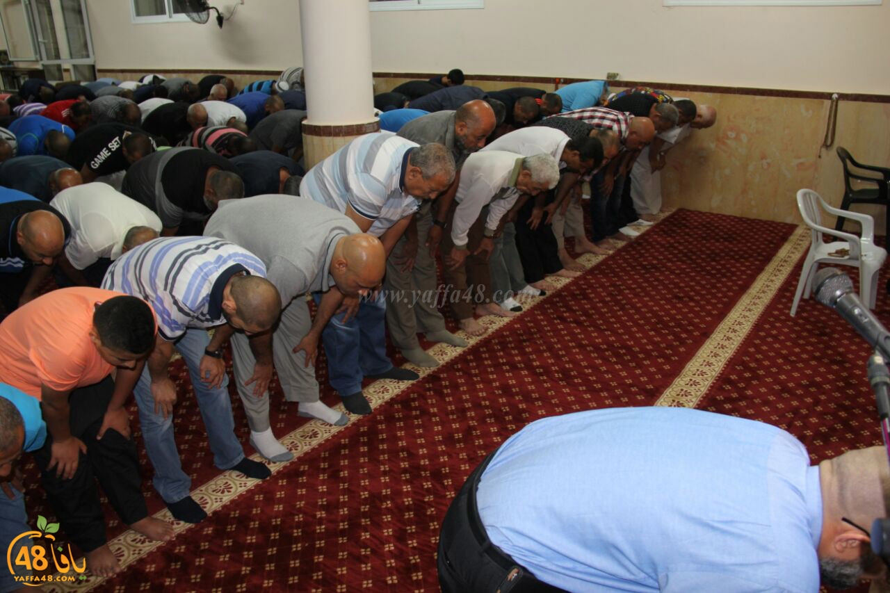 tarawe7 jamaki (4).jpg